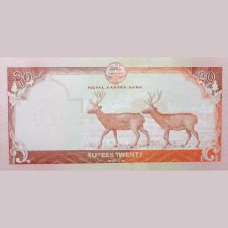 20 Rupees of Nepal Country (AD 2020) with 2 Swamp Deers