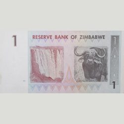 1 Dollar of Zimbabwe Country (AD 2007) with Victoria Falls on Zambezi River and Water Buffalo