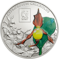100 Shillings Green Sea Turtle Tanzania WWF Collection 25Gms