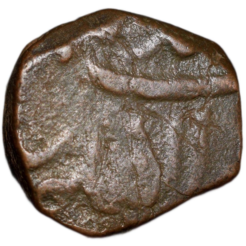 Copper Paisa of Awadh State INO Shah Alam II (AD 1759-1806) of Muhammadabad Banaras Mint