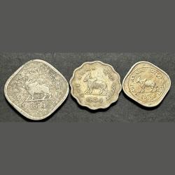 1954 bull Completely 3 pcs set