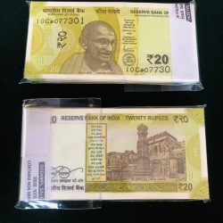 Rs 20 India Banknote Replacement Issue or Star Issue 10C Inset S Serial Bundle Gem Unc 2021 Unique and Rare