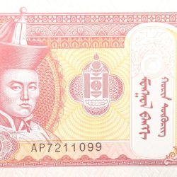 20 Togrog of Mongolia Country (AD 2020) with Mountain scenery with horses grazing in a valley
