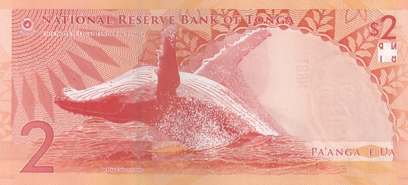 Tonga 2 Pannga UNC 2023-2024 New Note
