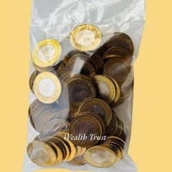 Rs 10 Anniversary of S Radhakrishnan 100 Coin Rbi Packet India Commemorative Issue Hyderabad Unique and Rare