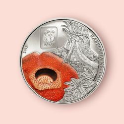 100 Francs Central African Republic Issue Rafflesia Unique and Rare