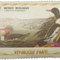 Postage Stamp of D'Haiti with Bird 'Mergus Merganser' 50 Centimes - Mint Un-Used Condition as per Image.