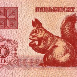 50 Kopeck of Belarus Country (AD 1992) with Squirrel