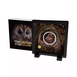 2023 Samoa (Tree Hollow - Strix Aluco) 25 Cents Ultra-High relief Copper Coin Weight 47.00 g