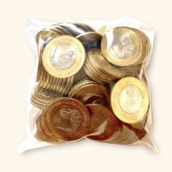 Rs 10 India Government Issue Maharana Pratap Coin Issue Kolakata Unlisted Issue 100 Coin Pouch Ultra Rare