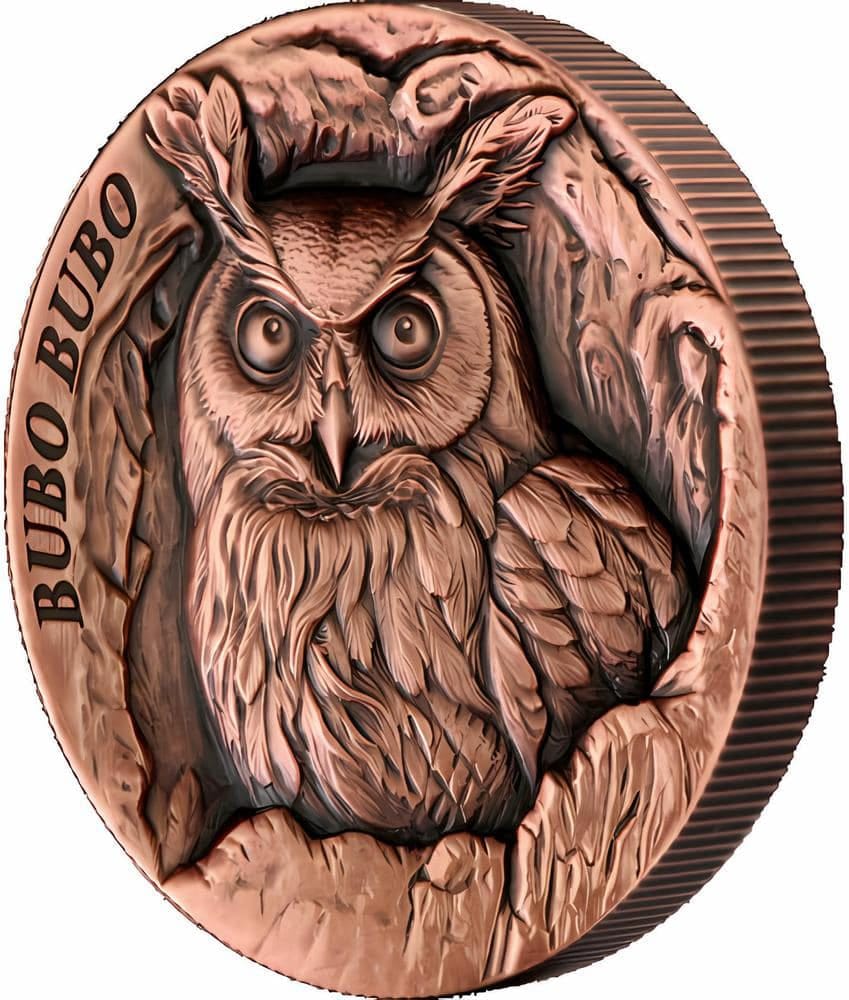 BUBO BUBO Owl Tree Hollow Copper Coin 25 Cents Samoa 2024 proof set beautiful coin set