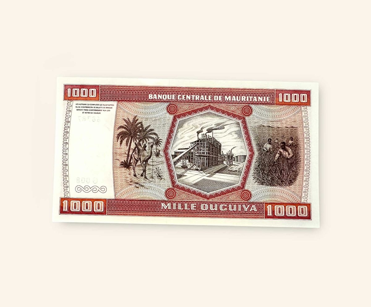 1000 Ouguiya World Banknote from Mauritania issued on November1981 Gem Unc Very Unique and rare Ending 786