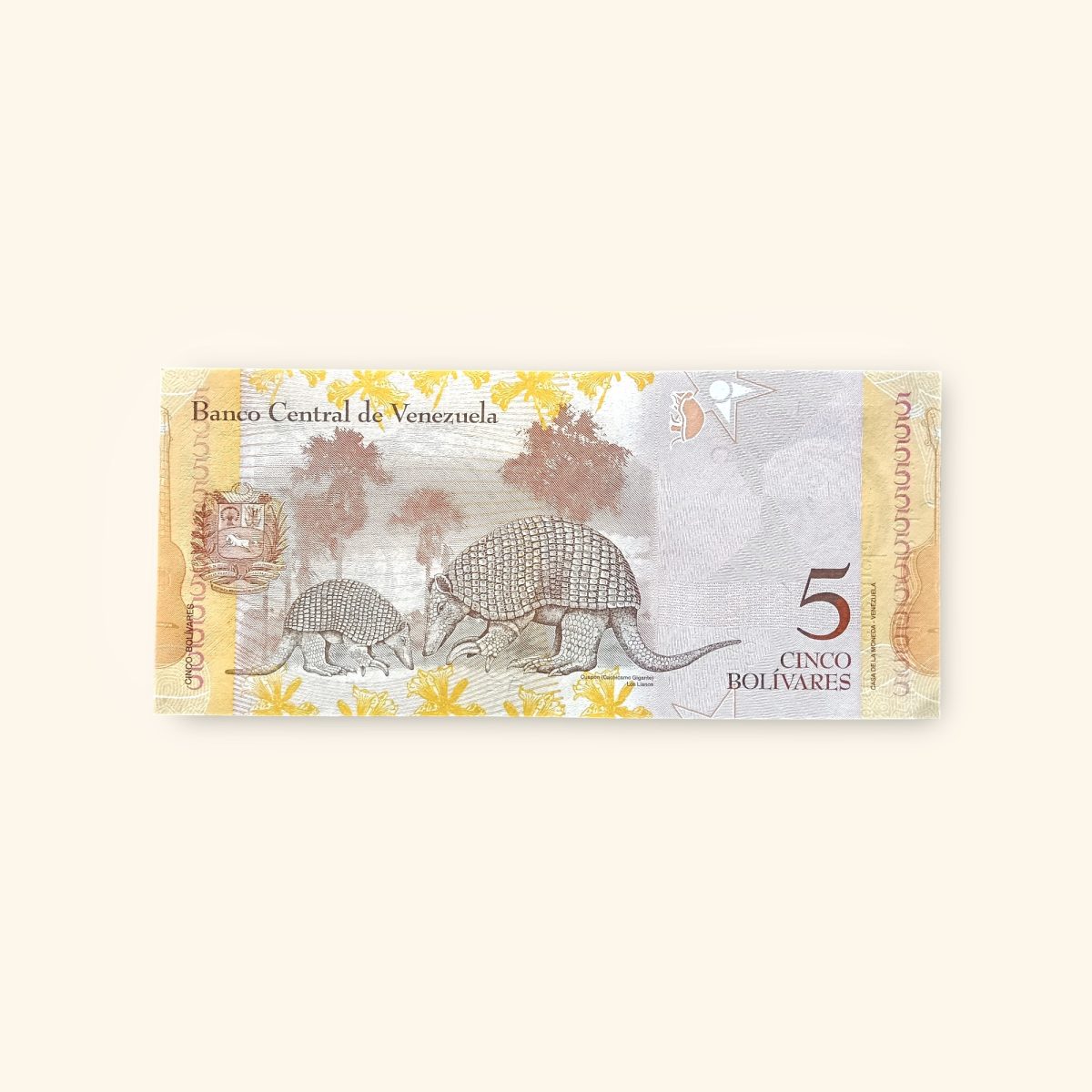 5 Bolivares World Banknote Gem Unc from Venezuela issued on August 19 2014 Very Unique and rare
