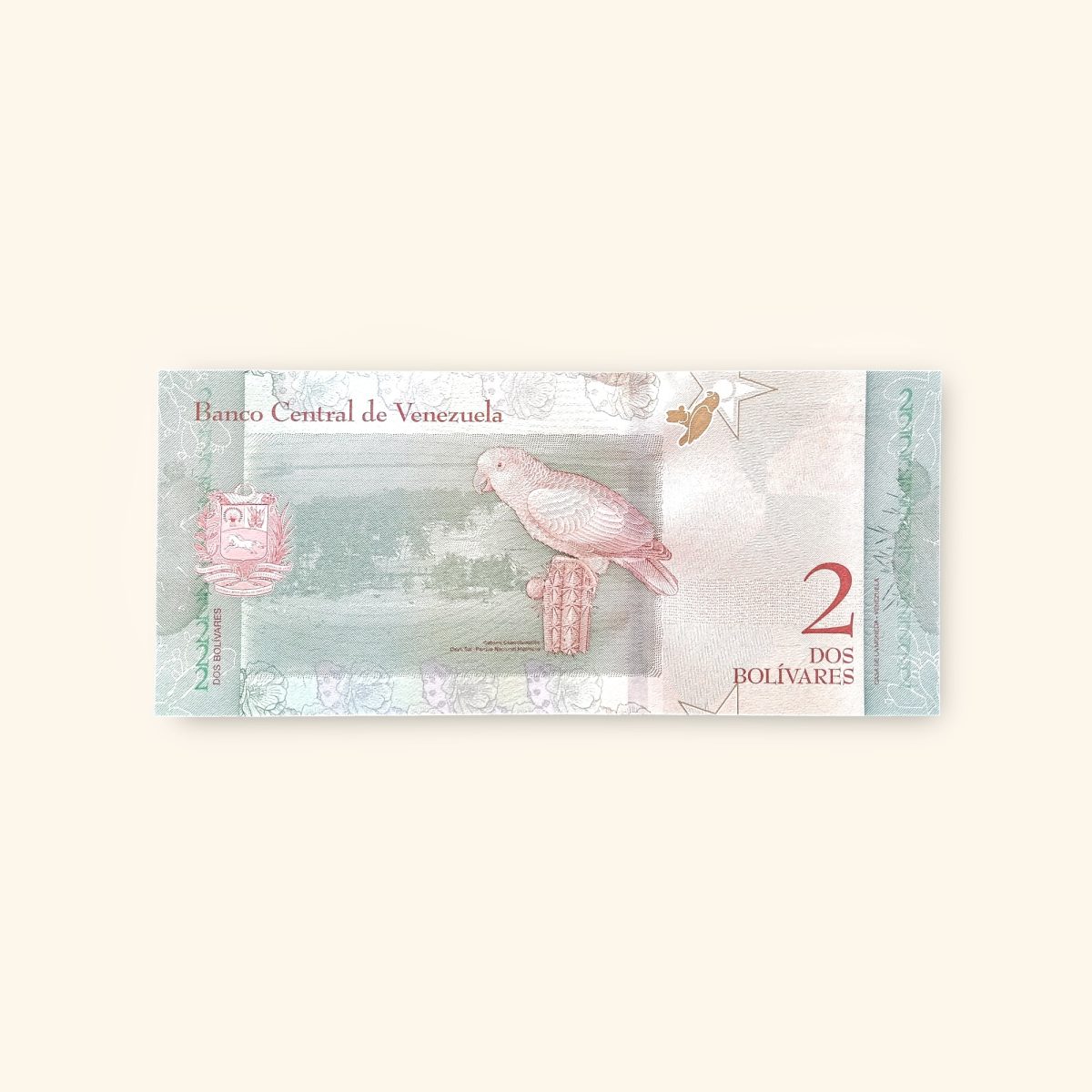 2 Bolivares World Banknote from the Bolivarian Republic of Venezuela Gem Unc Very Unique and rare