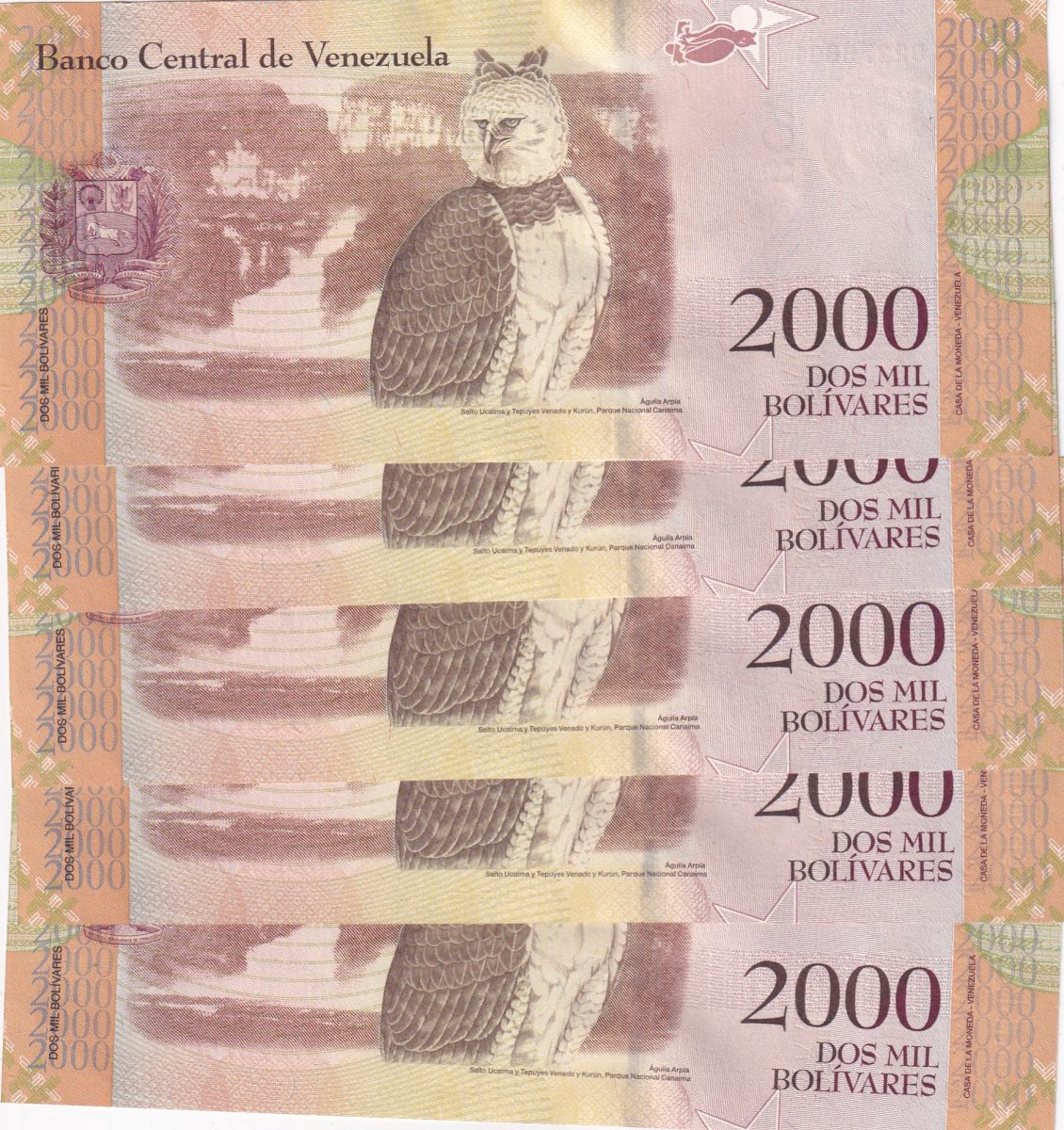 Venezuela 2000 Bolivares Serial 5 Notes Gem UNC 5 Paper currency & Bank notes