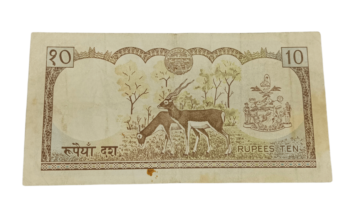 Nepal Old Early 10 Rupees Grey Colorful Issue Two Antilopes **Rare** Collectable Grade.