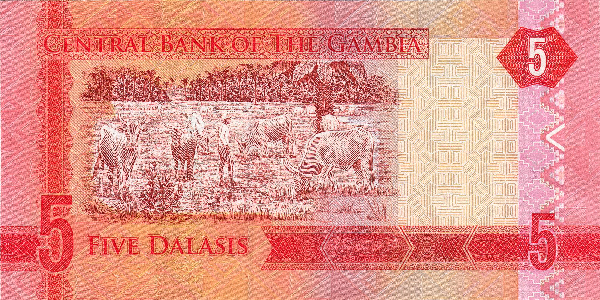 Gambia 5 Dalasis World Banknote UNC Unique and Rare