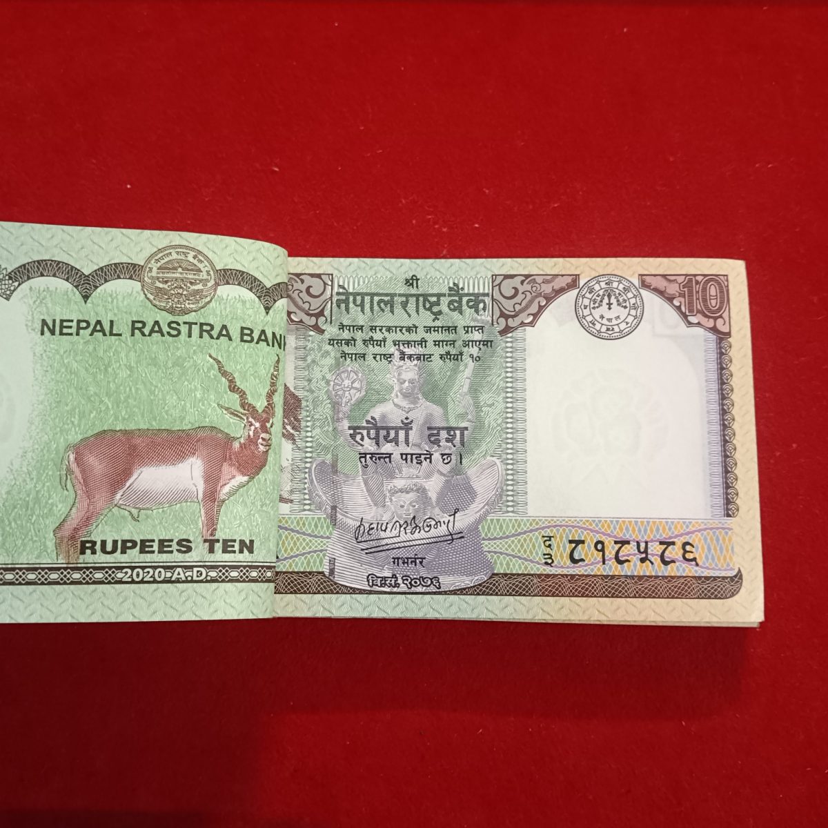 Rare Rare Ten Rupees Bundle Nepal Rastra Bank 2020 Year
