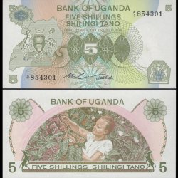 Uganda 5 Shillings Banknote 1982 ND P15 UNC Unique and Rare