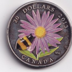 Canada 20 Dollars 2013 Beautiful Coloured Fantasy Coin # L-703