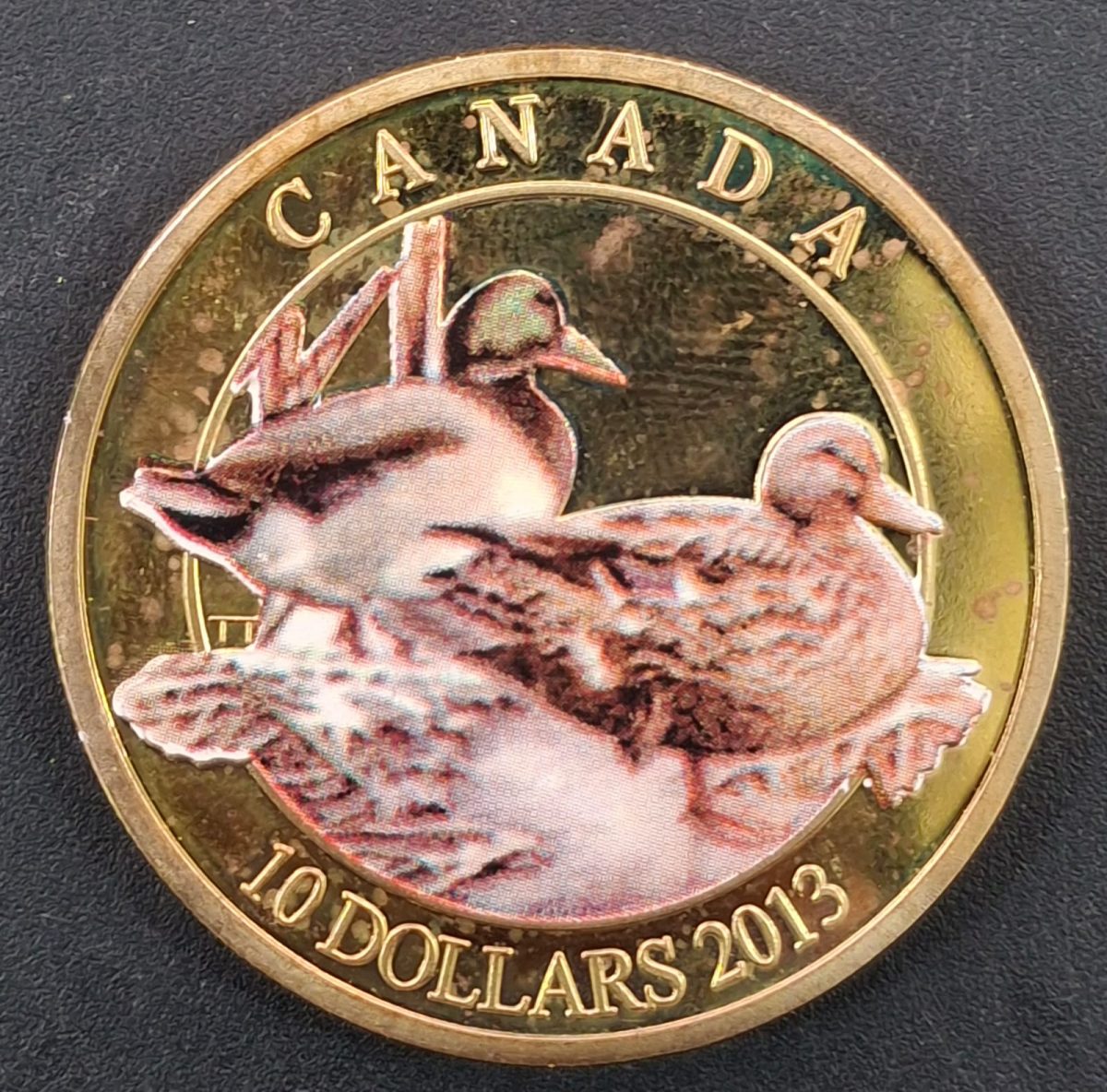 Canada 10 Dollars 2013 - Elizabeth II Mallard duck beautiful coloured Gold Plated FANTANCYCoin #L-628