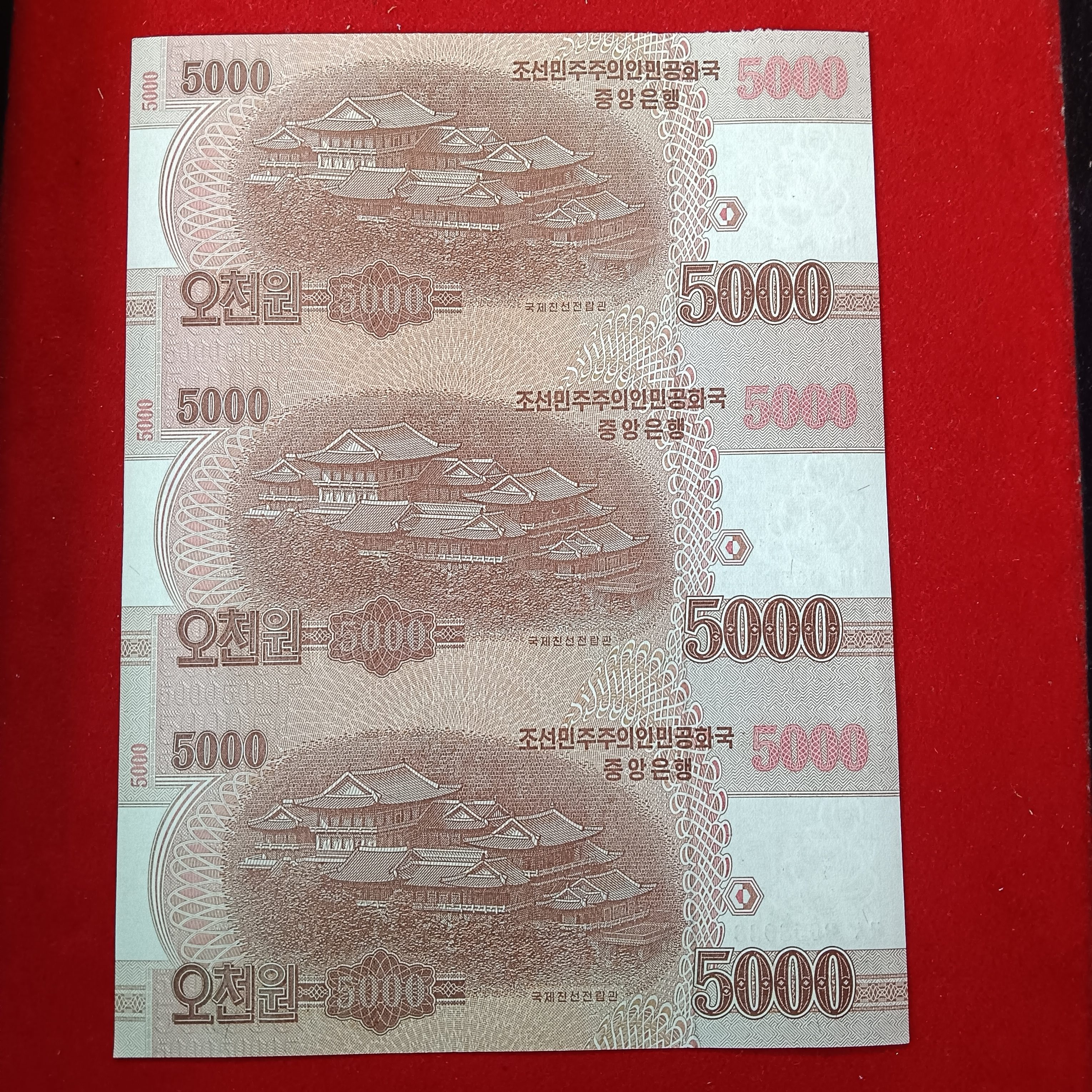 Extremely Rare North Korea 5000 Won Uncut Note Sheet Gem Bunc Condition