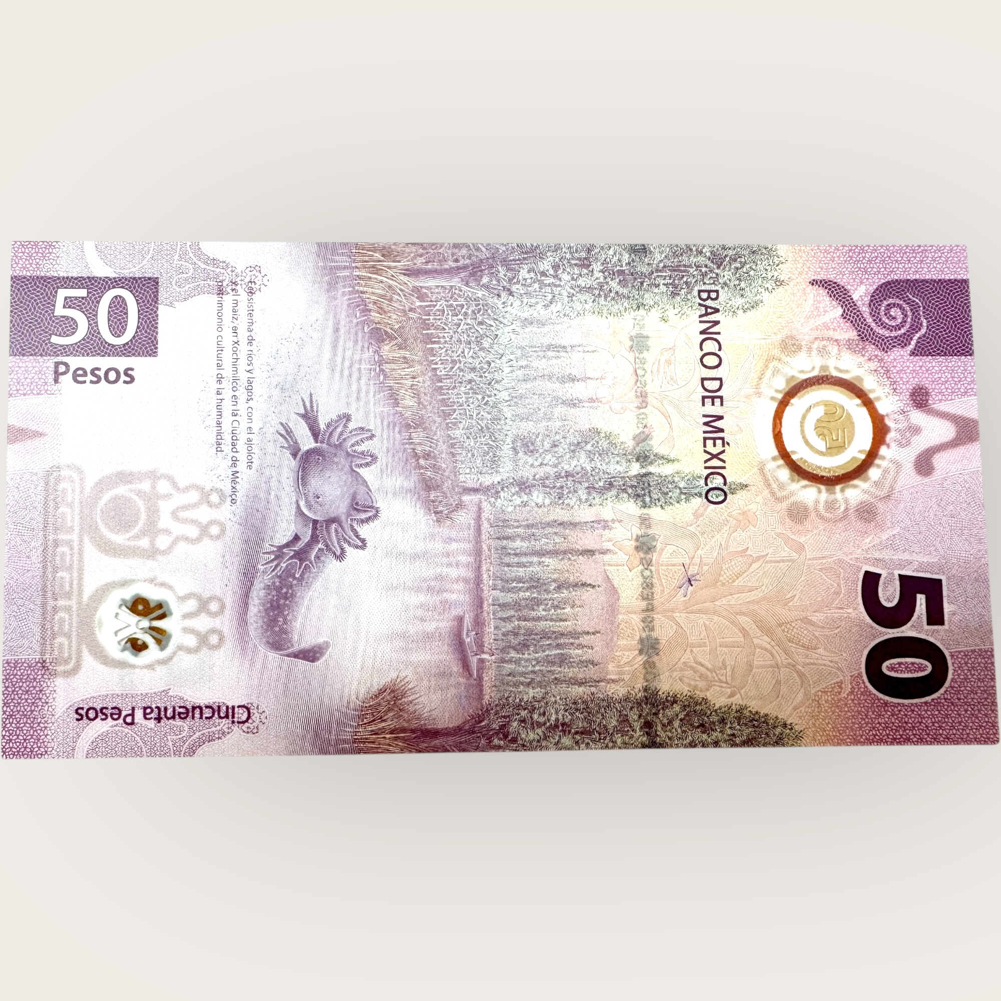 Mexico 50 Pesos Banknote 2023 P133e1 UNC Polymer UNC World Banknote Ending 786 Series