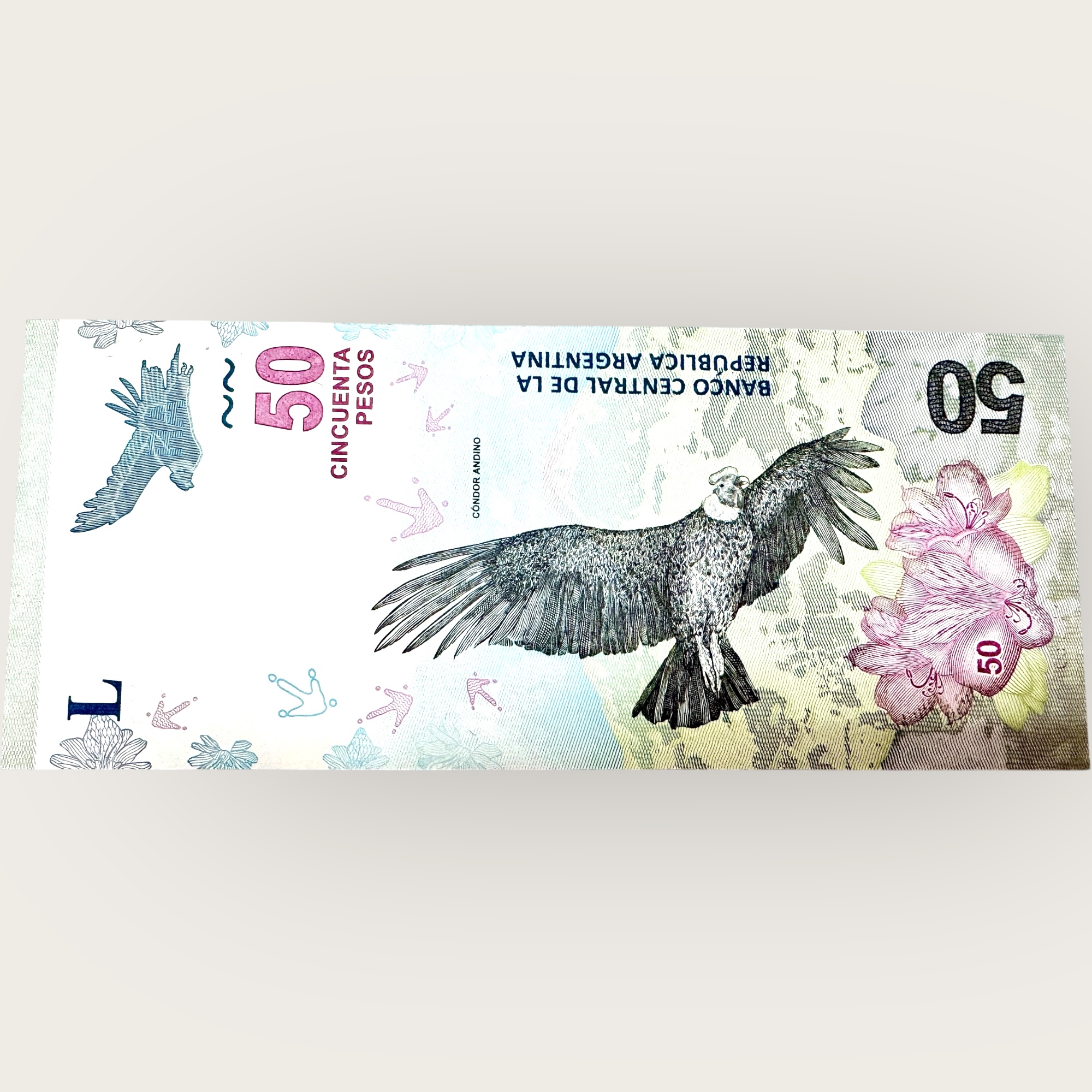 Argentina 50 Pesos Banknote 2018 World Banknote Ending 786 Series