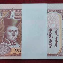 Mongolian 20 Togrog Serial UNC Packet