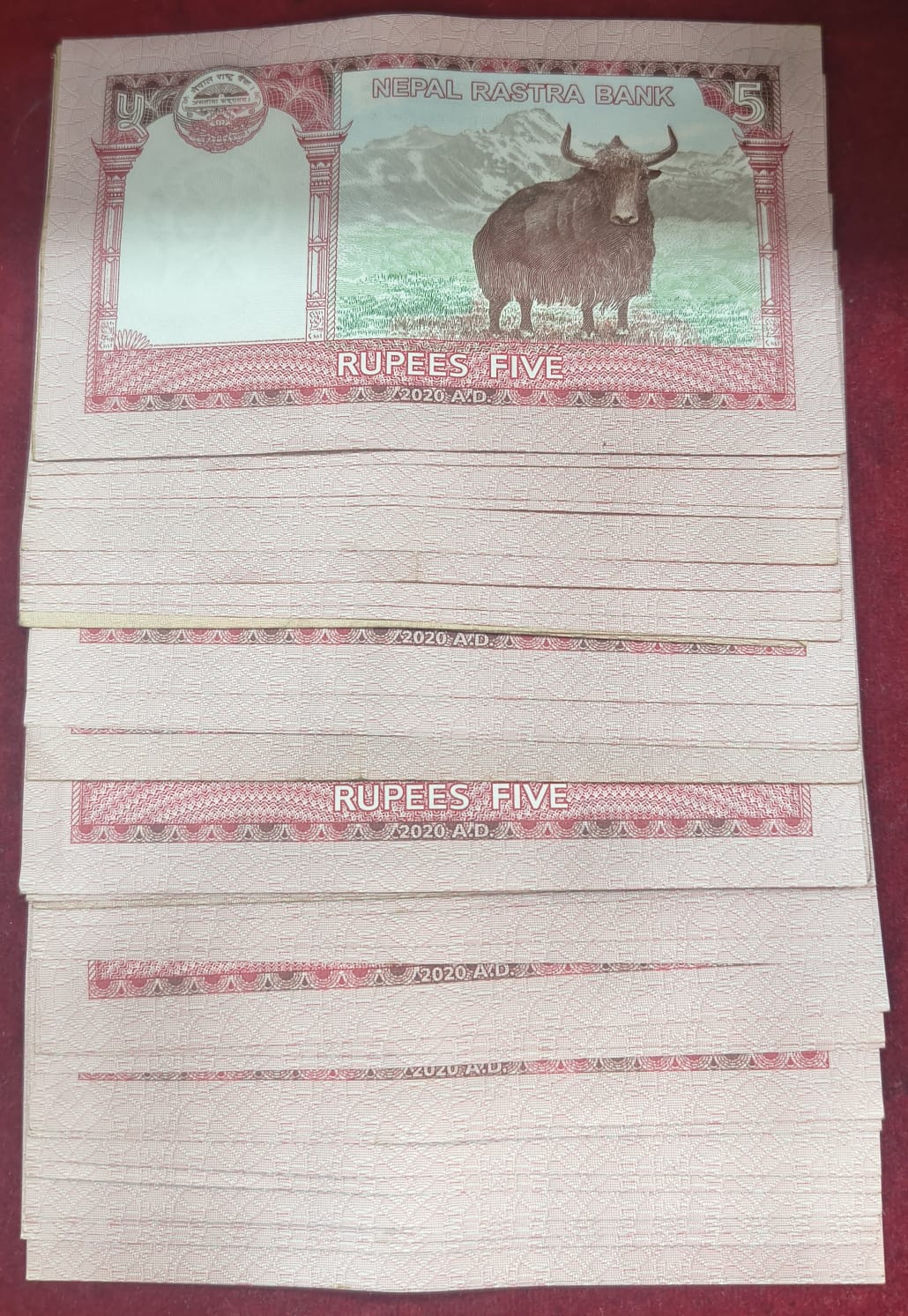 Nepal 5 Rupees Rare ( 36 Note LOTT)