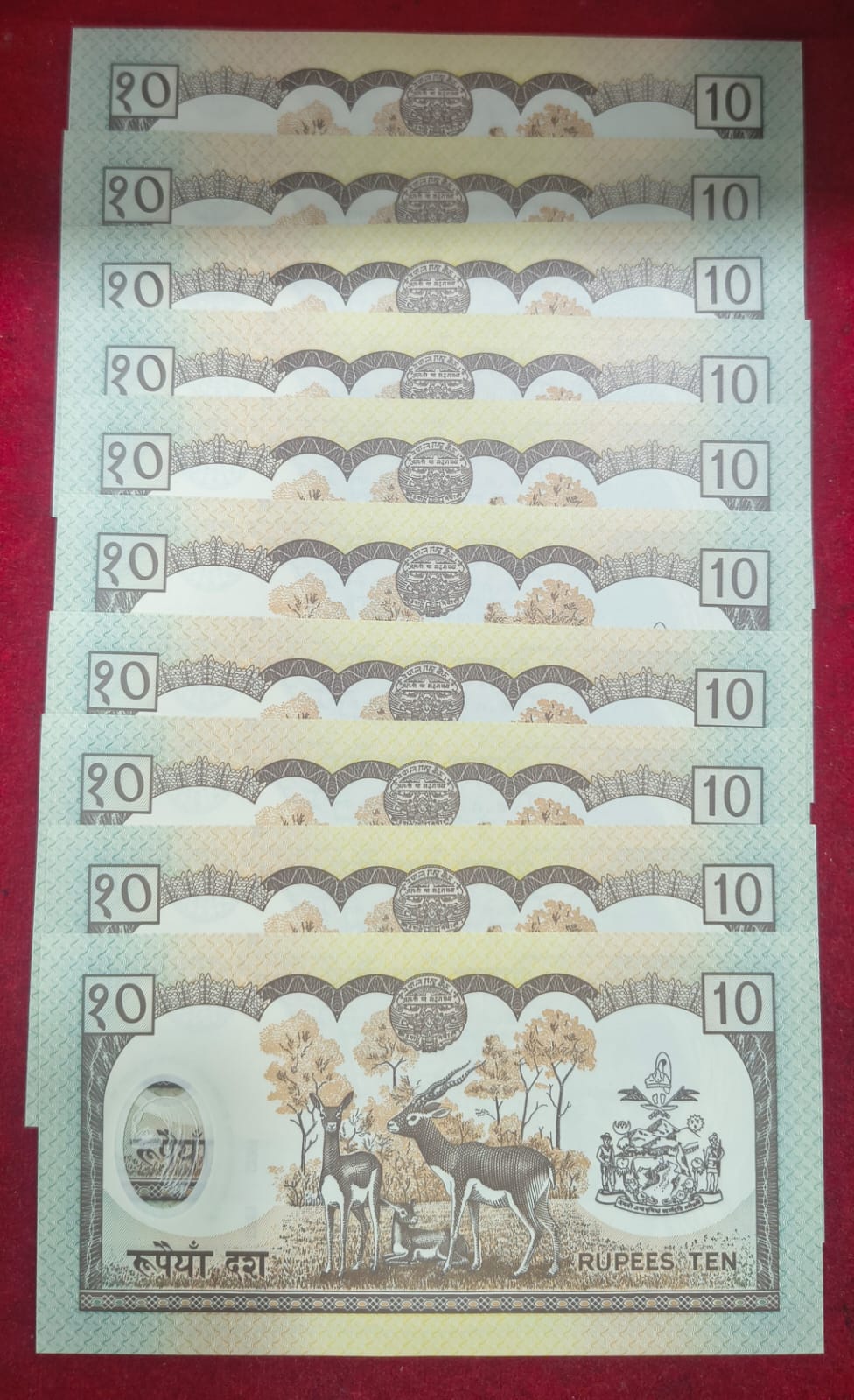 Nepal 10 Rupees GME UNC Polymer Rare one Note