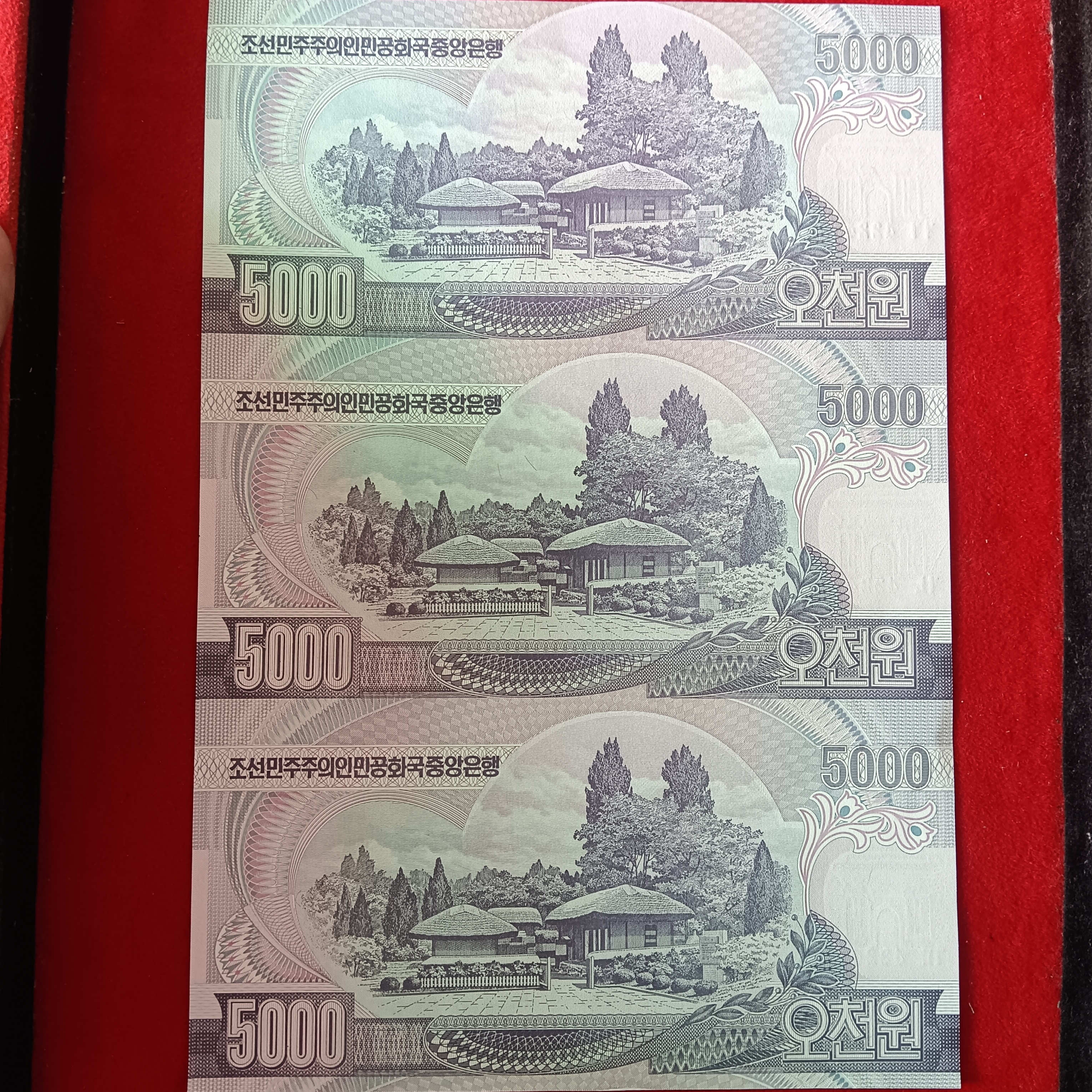 Extremely Rare North Korean 5000 Won Notes Unc Cut Note Error Sheet