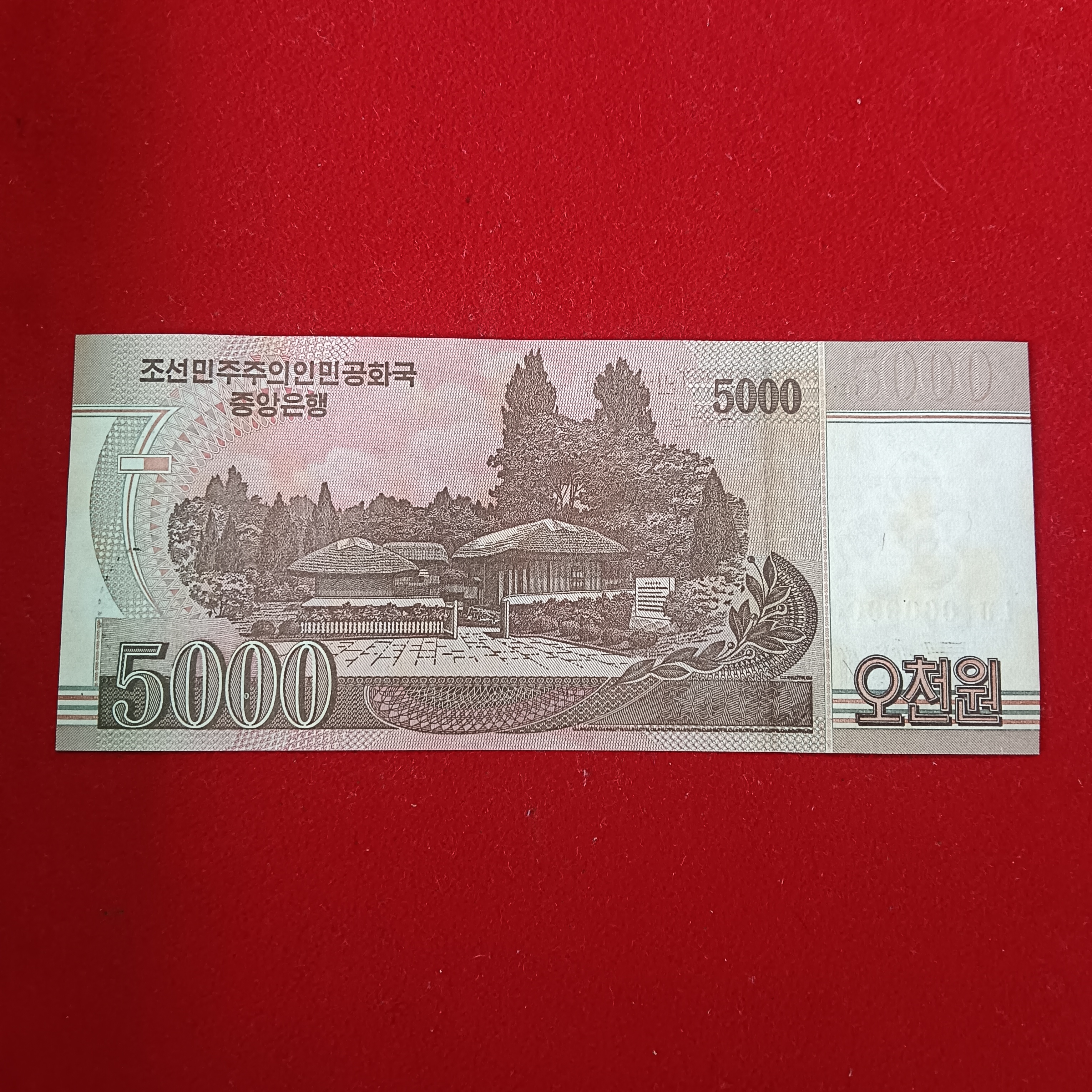 5000 Won North Korean Specimen Bank Note Issue Year 2008 Non Circulation Unc Condition