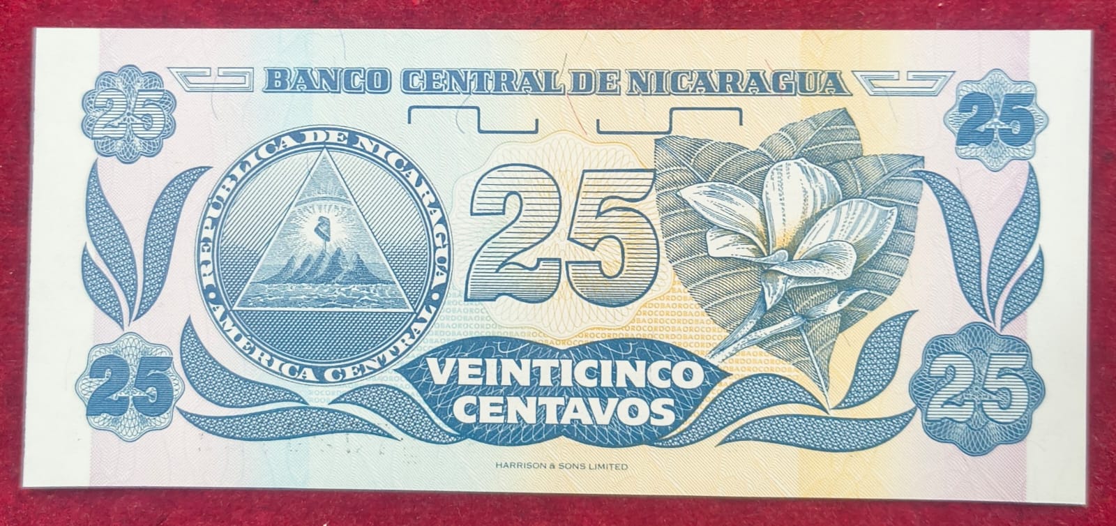 DE Nicaragua 25 Veinticinco Centavos GEM UNC Rare Note