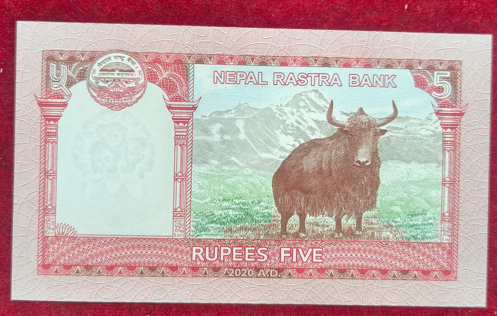 Nepal 5 Rupees GEM UNC Rare Note