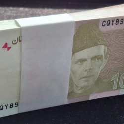 Pakistan 10 Rupees 2025 GEM UNC Rare (100 Note) Serial Packet