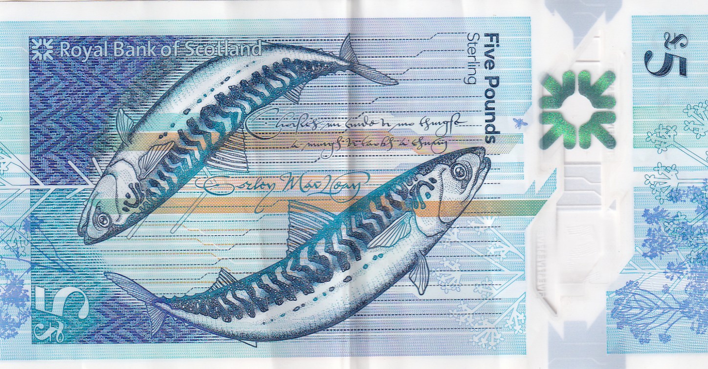 Scotland 5 Pound Polymer Note