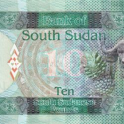 10 Sudanese Pounds of South Sudan (AD 2015-2016) with Wild Buffalo & Pineapple