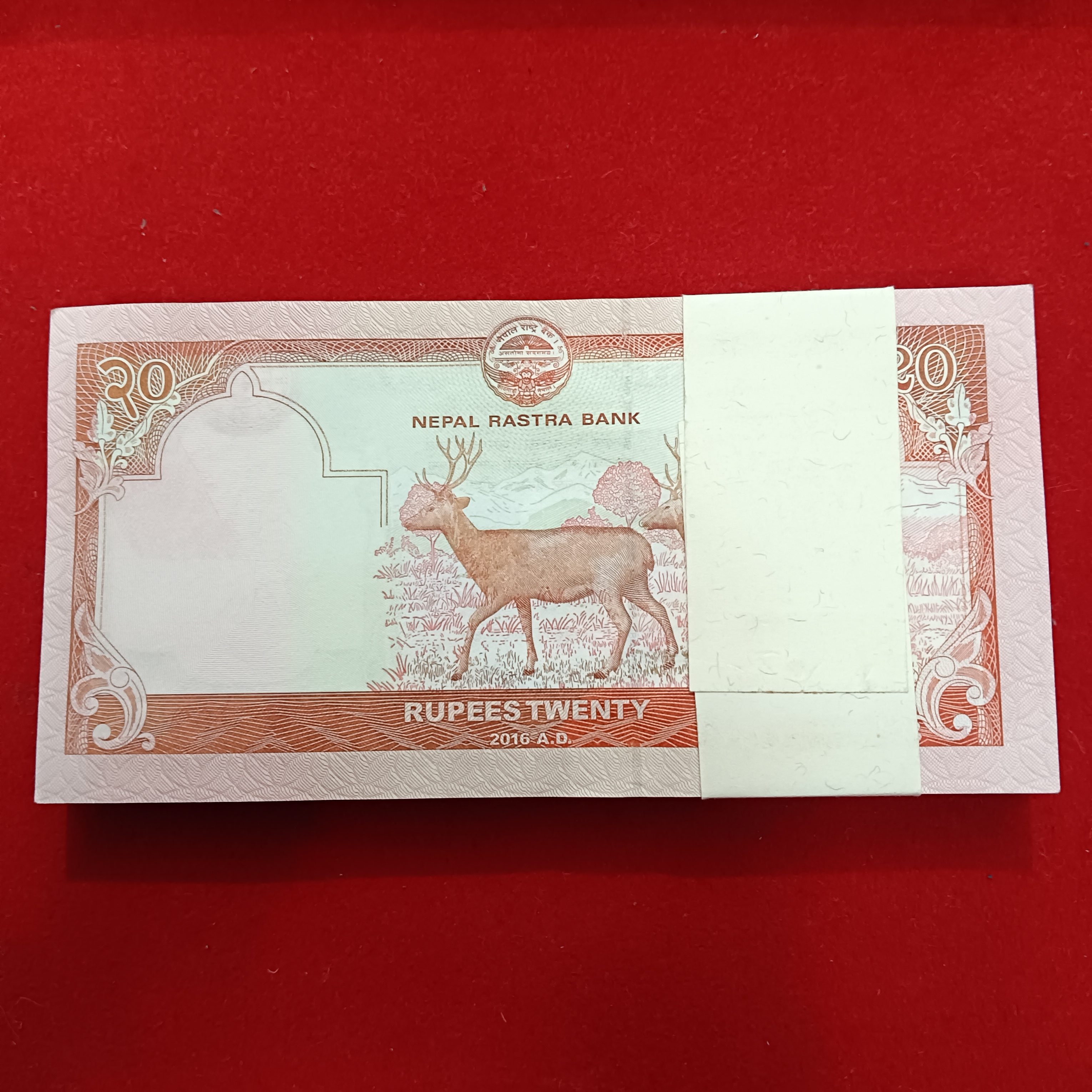 Extremely Rare 20 Rs Nepal Fancy Number Full Bundle 000786 Note Nepal Rastra Bank 000701