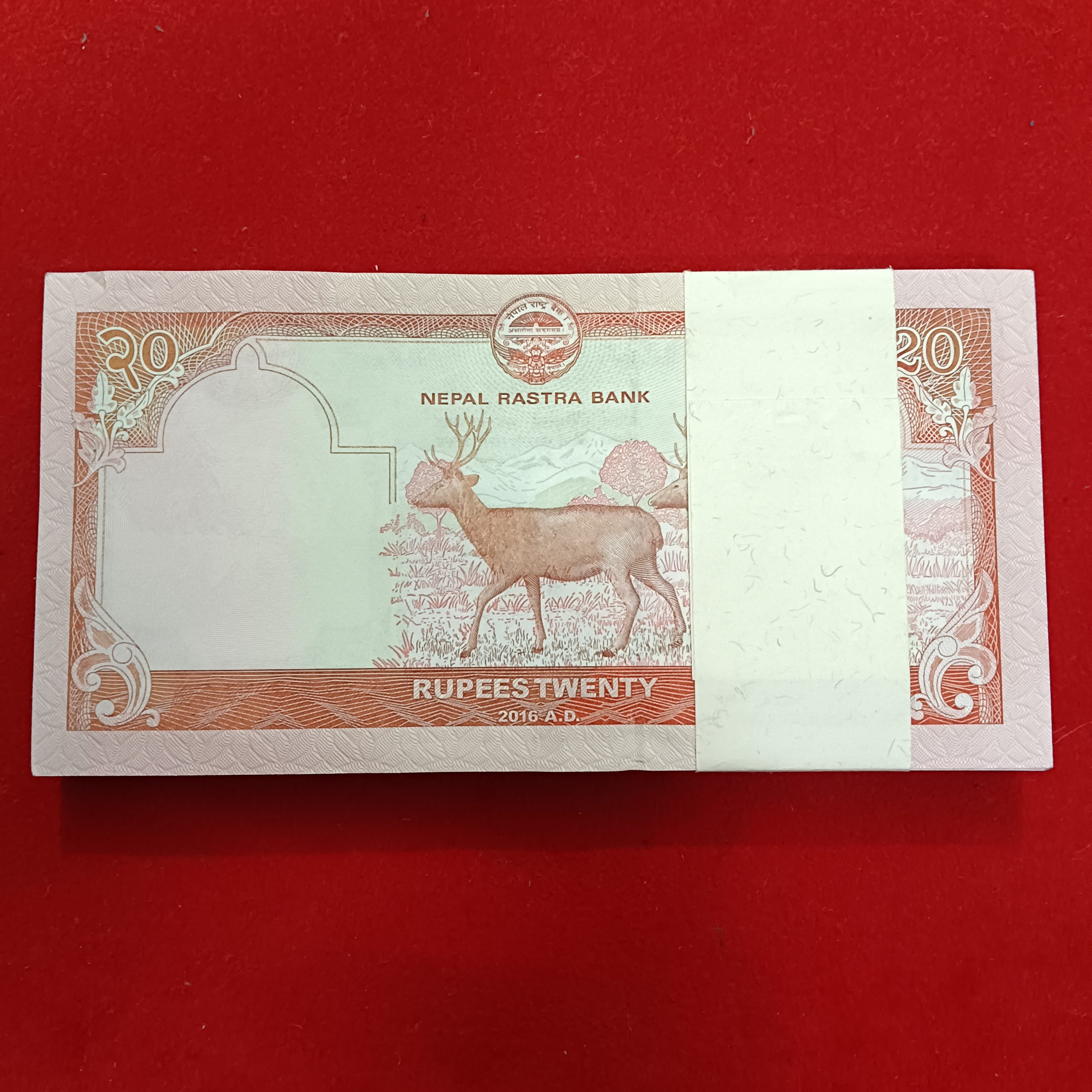 Rare 20 Rs Nepal Fancy Number Full Bundle Revsere 000786 Gem Unc Condition Nepal Rastra Bank 000601