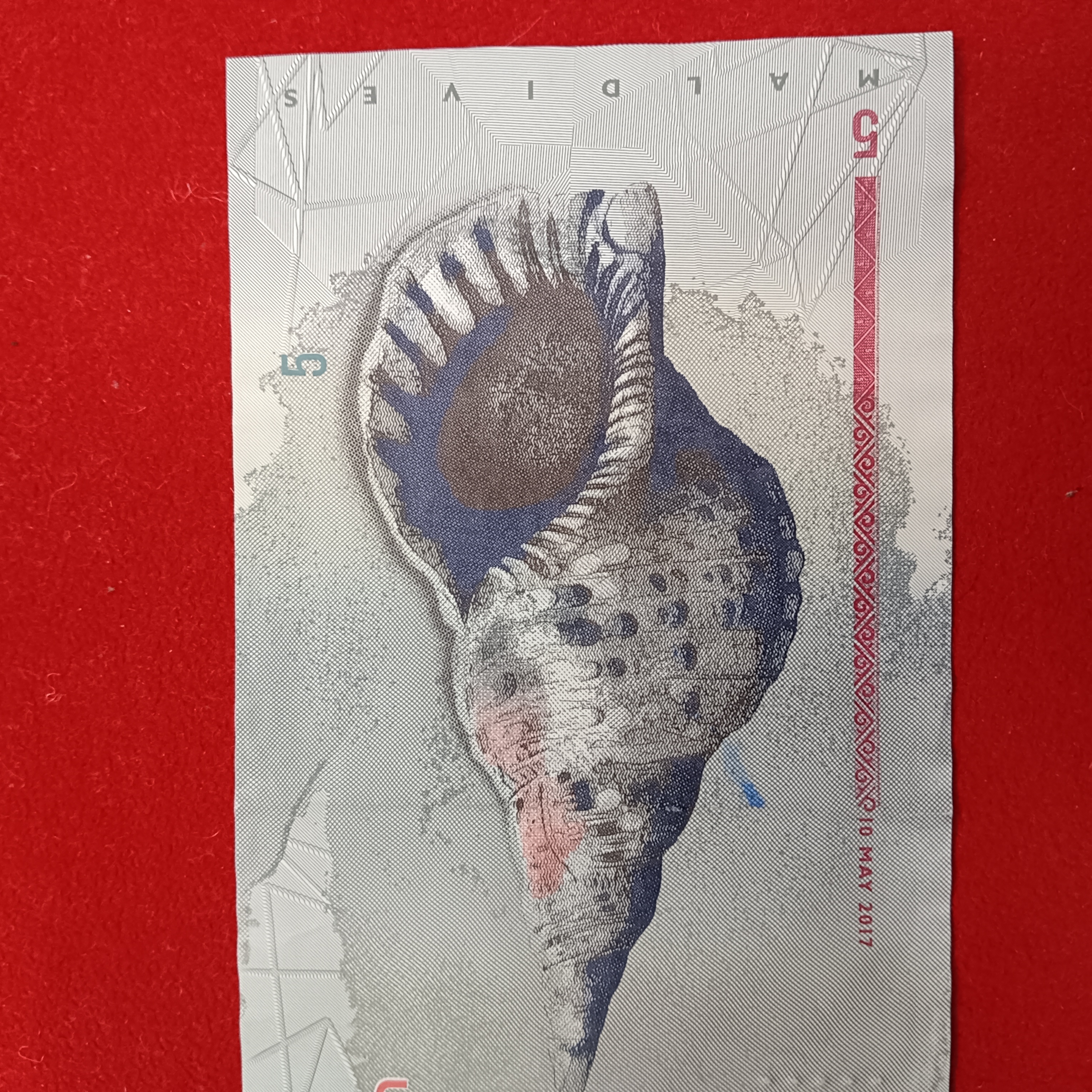 Five Rufiyaa Polymer Note Maldives Monetary Authority
