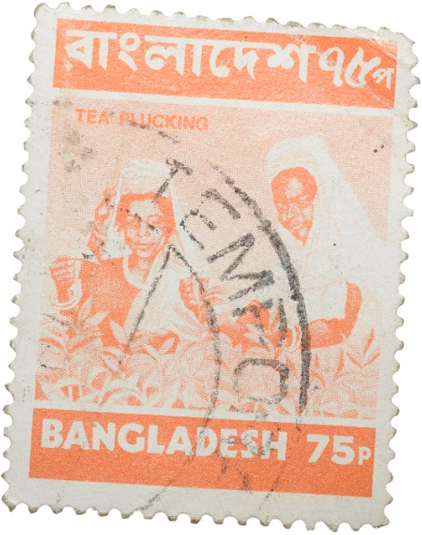 Postal Stamp of Bangladesh Orange Colour 75 Poisha - Tea Plucking - Used Condition as per Image.