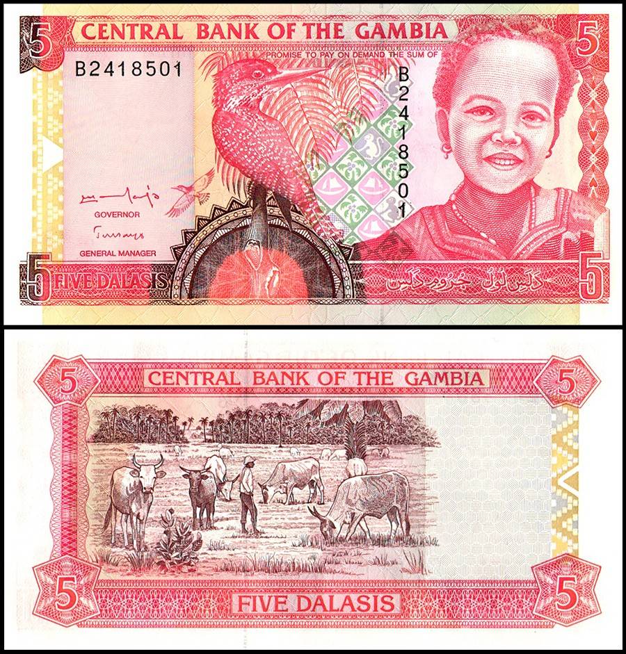 Gambia 5 Dalasis World Banknote UNC Unique and Rare