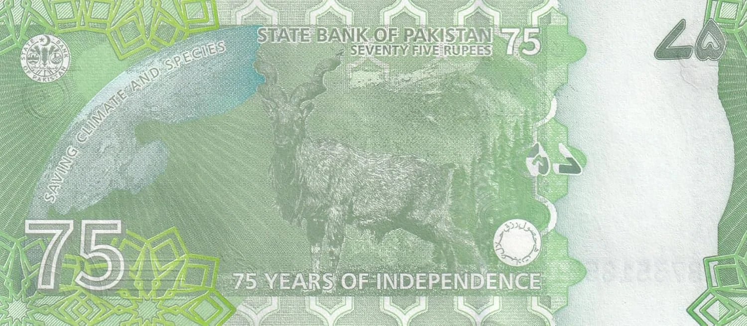 Pakistan 75 Rupees Commemorative Independence Rare Banknote