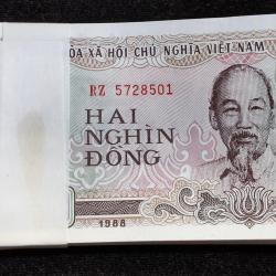 Vietnam 2000 Dong Gem Unc (100 Note) Serial Packet