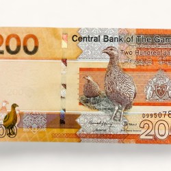 Gambia 200 Dalasis World Banknote Ending 786 UNC Banknote Unique and Rare