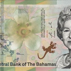1/2 Dollar of Bahamas Country (AD 2019) with Front-facing bust of Queen Elizabeth II/Sister Sarah in Nassau Market