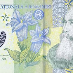 1 Leu of Romania Country (AD 2018) with Portrait of historian Nicolae Iorga (1871-1940), a Gentian flower Polymer Note Rare