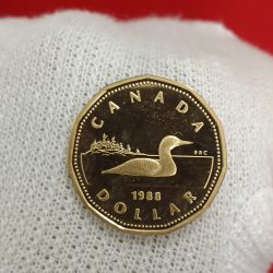 Elizabeth II DG Regina 1 Dollar Proof Coin 1988 Year Royal Canadian Mint