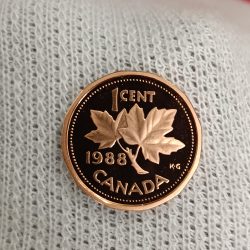 Elizabeth II DG Regina 1 Cents Copper Proof Coin 1988 Year Royal Canadian Mint